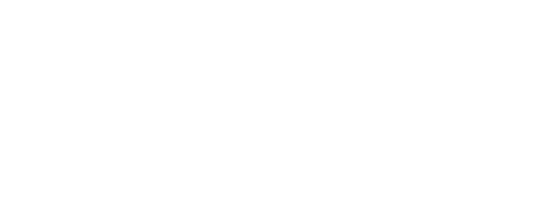 Universitat Politecnica de Valencia